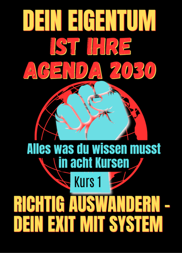 buch cover dexit richtig auswander raus aus dme system i