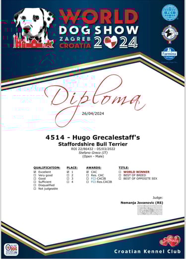 diploma world dog show 2024 staffordshire bull terrier
