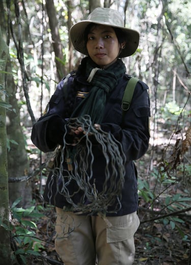 Scout with collected snares