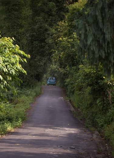 Country road to Kashyong