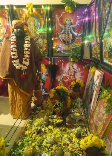 bangalore top astrologer