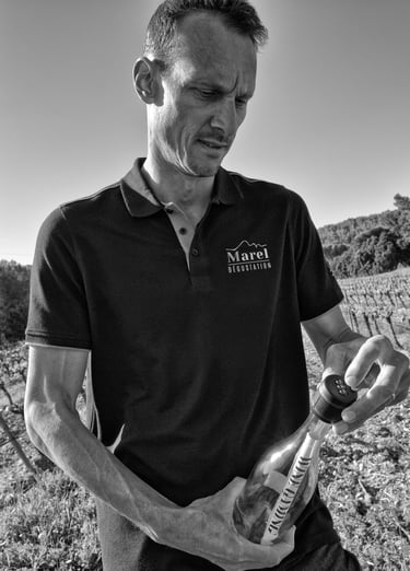 Portrait Arnaud Demontis — Marel Dégustation produits locaux Côte Bleue