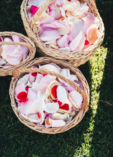 paniers de pétales