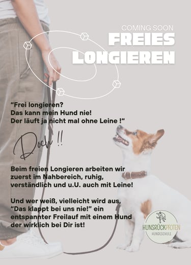 Werbebild für den Hundetrainingskurs ‚Freies Longieren‘ mit einem kleinen Hund