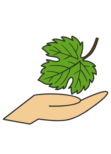 Dessin original de grains de raisins provenant de l'univers de Calnima autrice française indépendant