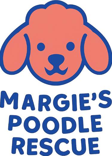 Margie's mini poodle and toy poodle rescue