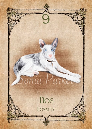 Dog, a card from the animal spirit oracle deck