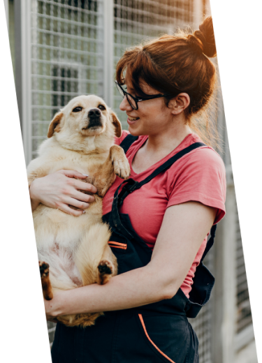 mulher com cachorro feliz, olhando para o cachorro com camisa vermelha