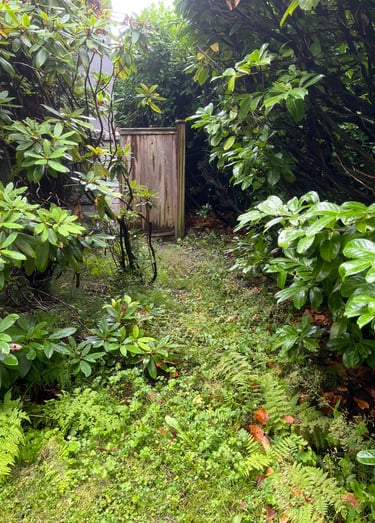 Weeded Landsacpe