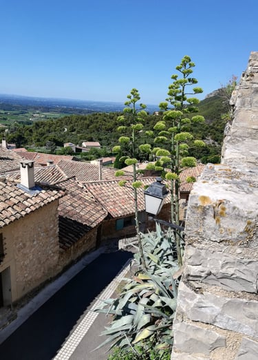 Blick auf das malerische Dorf Le Barroux in der Provence, Mont Ventoux