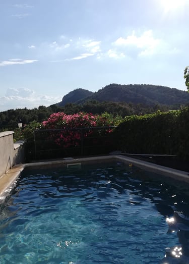 Schwimmbad mit Aussicht, Le Barroux Provence Gîte