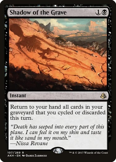 Magic: The Gathering Shadow of the Grave card featuring a skeleton shadow cast on a desert landscape.