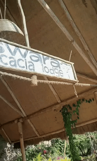 AMCorp - Swara Lodge content