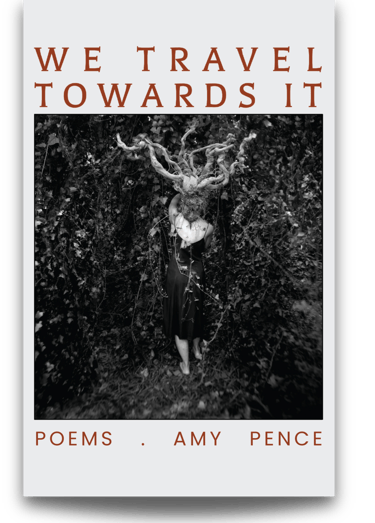 We Travel Towards It Amy Pence