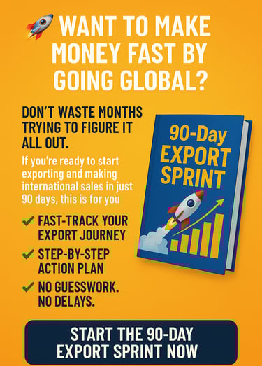 a book cover with the words,'90 days of exporting the world 'by Amine HBI