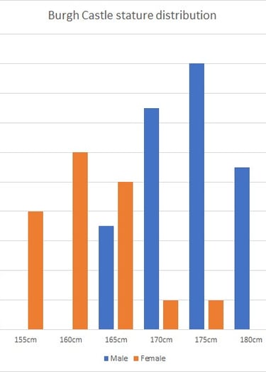 Stature distribution bar chart