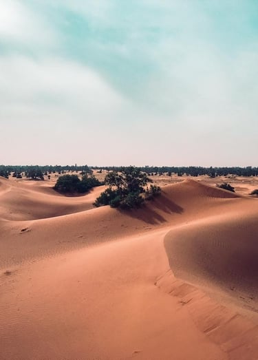 The dune at Erg Ait Ounir