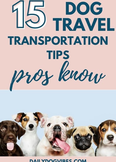 dog travel tips