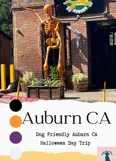 dog friendly auburn ca