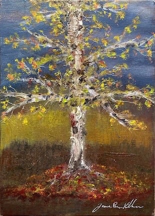 Fall Birch 17.78 x 12.7 cm Oil on canvas