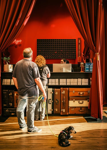Travelers with a small dog check in at a boutique hotel reception desk with vintage suitcase decor and red curtains.