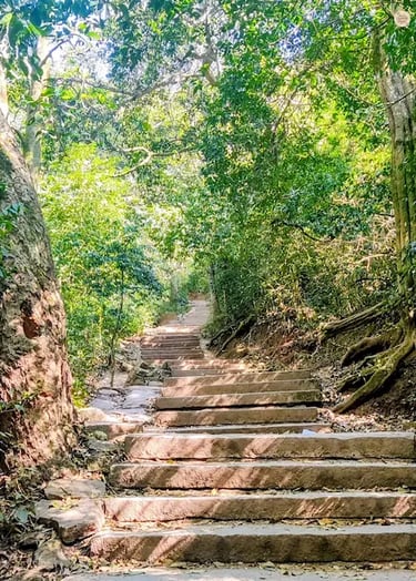 Stone stairway leading to the summit of Nandi Hills, surrounded by mist and hilltop greenery near Bengaluru.