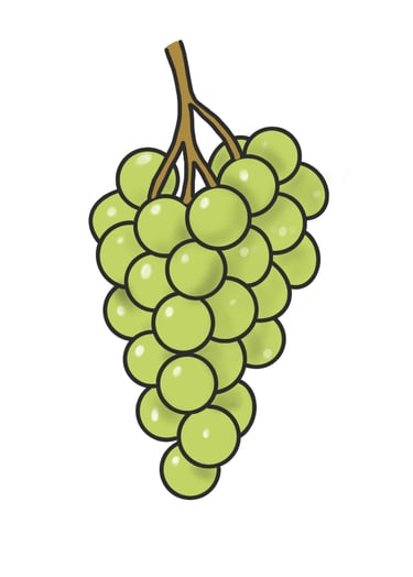 Dessin original de grains de raisins provenant de l'univers de Calnima autrice française indépendant