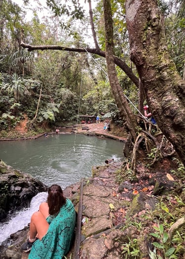 La poza de Colo-i-Suva Forest park