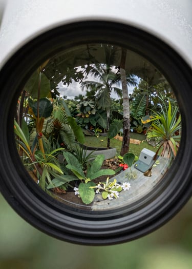 A close-up of a high-tech security lens reflecting a lush, green South American / Brazilian garden during the day. The reflection is clear and sharp, showing professional monitoring.