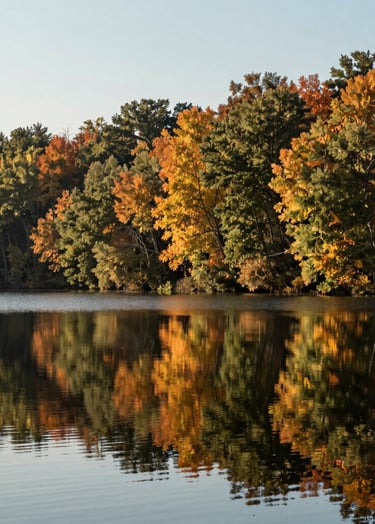 A tranquil North American / US lake reflecting the Muted Sage and Warm Olive colors of the surrounding autumn trees. Professional composition, clean and sophisticated artistic style.