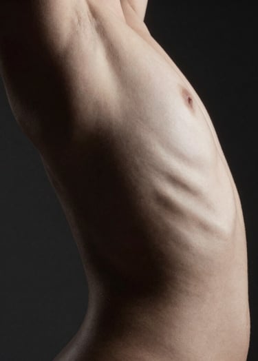 A minimalist art nude photograph focusing on the architectural curves of the human back. The lighting is a sharp, low-key side light that creates deep black shadows and bright off-white highlights on the skin texture. Professional studio setting in North American / US, emphasizing a sleek and sophisticated atmosphere.