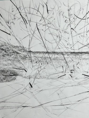A2 graphite stick: Line Dance