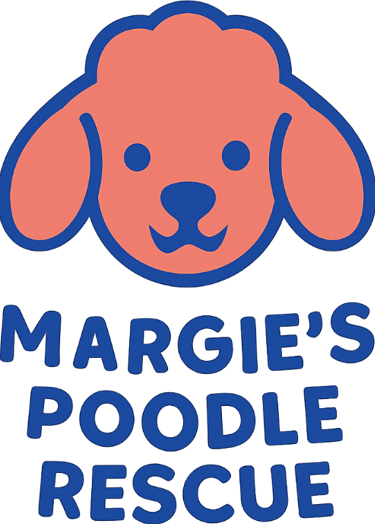 Margie's mini poodle and toy poodle rescue