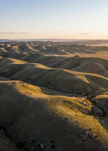 A high-altitude drone photograph of expansive rangeland in Northeast Nevada. The scene shows rolling hills covered in sage green vegetation under a soft morning sun. The lighting is warm and golden, emphasizing the rugged elegance of the terrain. The composition is wide, showcasing the vastness and profound tranquility of the North American landscape.