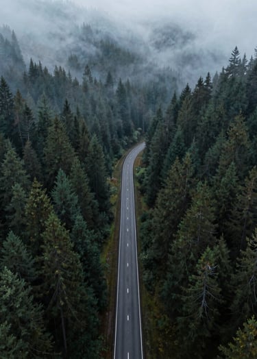 A high-altitude aerial view of a winding road through a dense, foggy pine forest. The mood is moody and cinematic, using #1B263B for the deep greens and #E0E1DD for the mist. 4K high-fidelity texture.