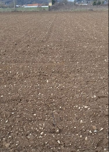 Plowed brown farmland soil with small stones prepared for seasonal agricultural planting.