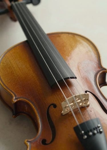 A high-quality close-up of a professional violin's bridge and fine strings, soft lighting, soft off-white and dark espresso tones, elegant and artistic composition in a Southern European / Spanish setting.