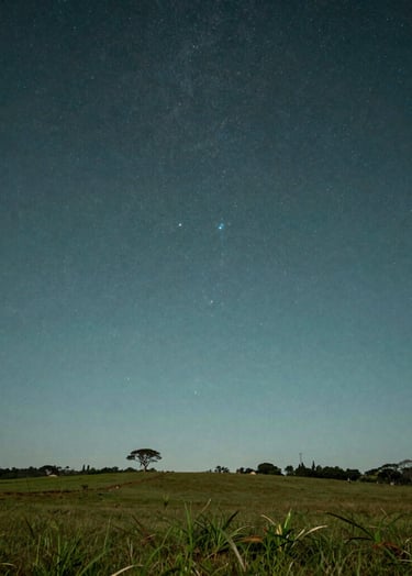An artistic, high-contrast long exposure photograph of the night sky over a South American / Brazilian rural landscape, referencing the award-winning photography of a comet. The colors are dominated by dark slate teal and soft sage green.