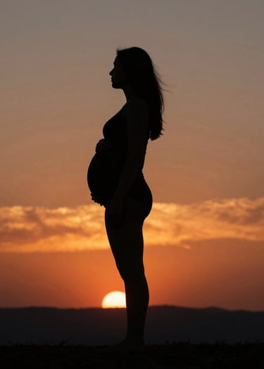 A cinematic silhouette of a pregnant woman standing on a hill against a deep orange and Charcoal (#333333) sunset sky. The composition is artistic and storytelling-focused, highlighting the beautiful curve of motherhood.