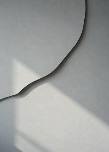 Abstract photography of organic shapes and shadows on a light grey wall. The mood is calm, natural, and minimalist, emphasizing professional design clean lines.