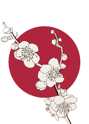 trouble du sommeil, gestion des émotions, deuil, phobie, pensées négatives, difficultés aux choix