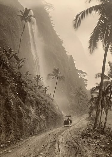 Ko’olau Mountains, Oahu, 1896 – Wide-angle shot of a newly completed dirt road