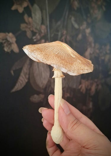 paper mushroom