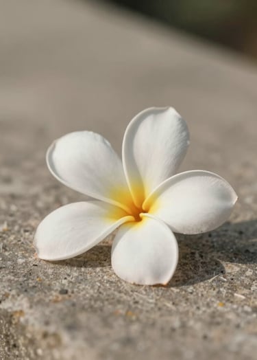 A minimalist detail shot of a delicate frangipani flower lying on weathered Balinese stone, soft morning light, shallow depth of field, evokes a sense of peace and nostalgia, warm tones of #D4C7BB and #F8F4F0.