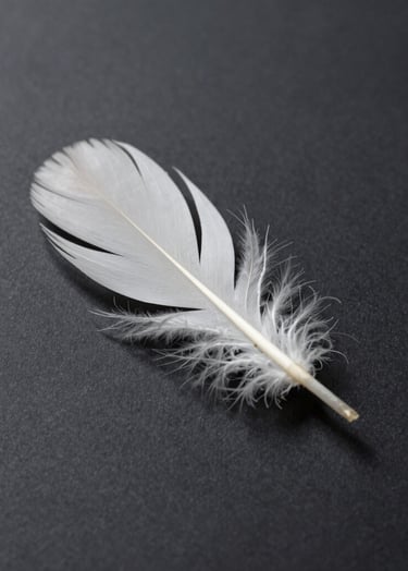 A minimalist composition of a single white feather resting on a dark, matte surface (#2F363F). High clarity and sharp focus, emphasizing delicate textures.