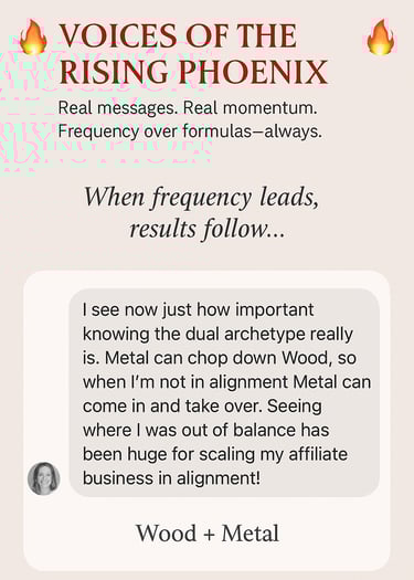 DM screenshot of Wood + Metal Archetype – Visionary entrepreneur celebrates discovering her strategic dual archetype