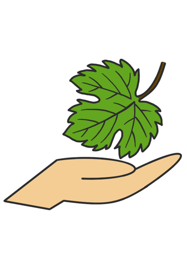 Dessin original de grains de raisins provenant de l'univers de Calnima autrice française indépendant