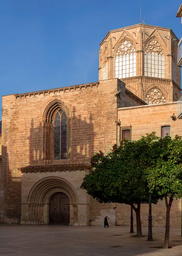 9º Clasificado Color 2026