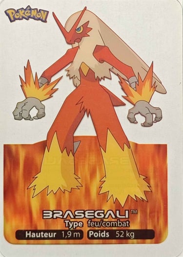 15 Brasegali Lamncards Pokémon série 3