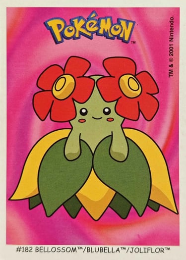 Joliflor Dunkin Boomer 2001